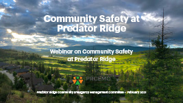 Community Safety Webinar – 2021